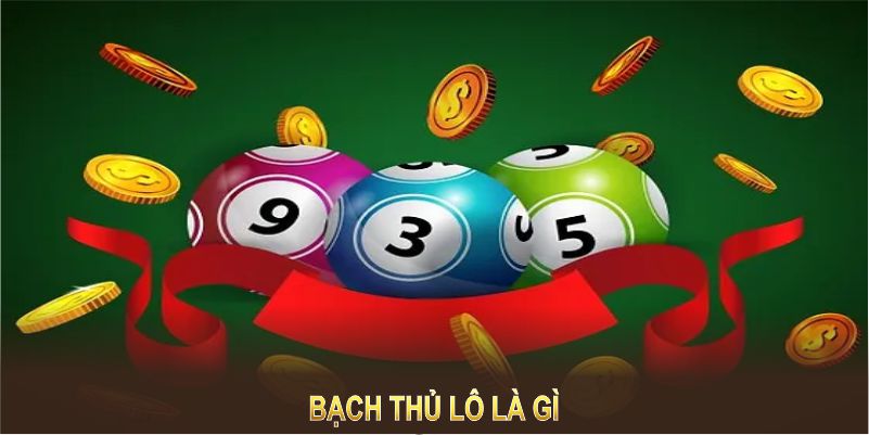 Bạch thủ lô là gì ảnh đại diện