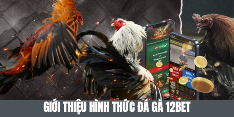 Sơ lược về hình thức giải trí đá gà 12BET đặc sắc