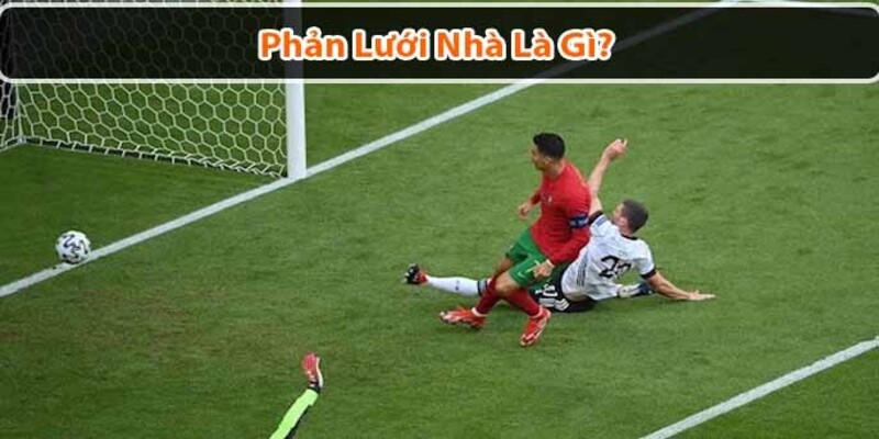 Tìm hiểu về phản lưới nhà cùng 12BET