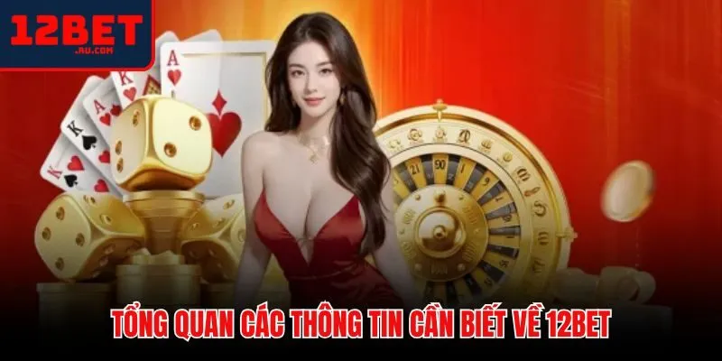 12BET 39 Thông tin cơ bản về mô hình hoạt động của 12BET
